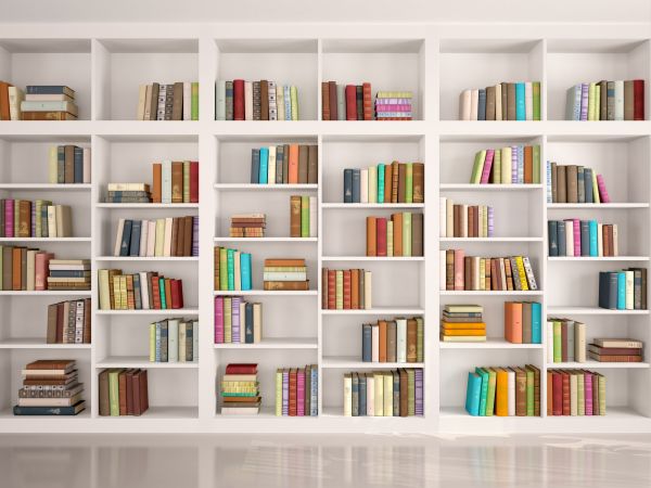 Bookshelf Assembly in Loveland