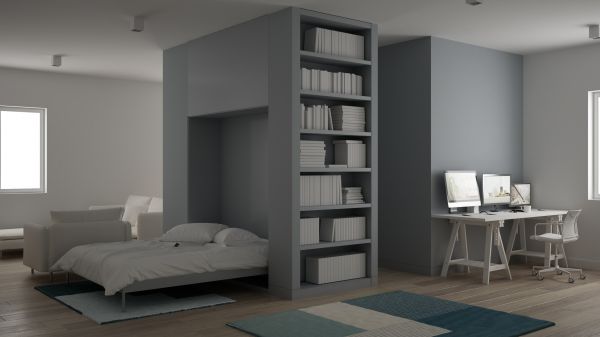 Murphy Bed Assembly in Loveland